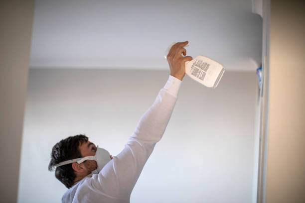 Best Post-Flood Mold Remediation in Ocean Acres, NJ