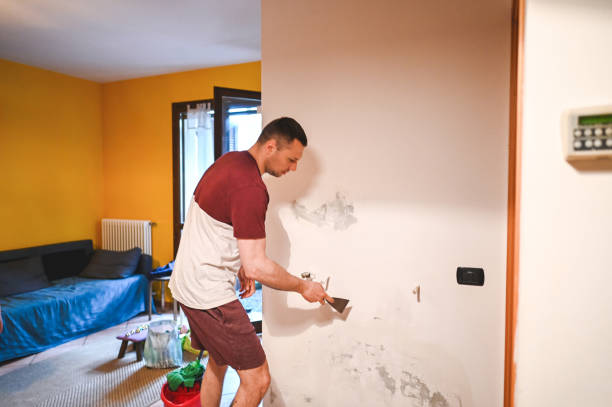 Best DIY Mold Remediation Support Services in Ocean Acres, NJ